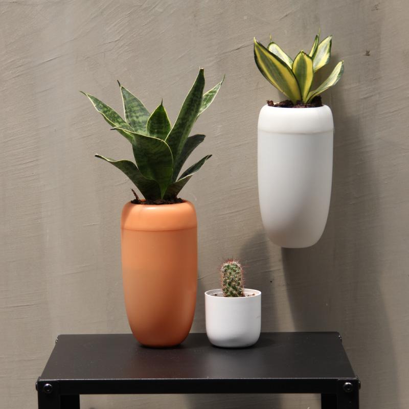 Carepot - Qualy design 