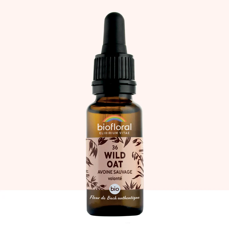 36 Wild Oat, Avoine Sauvage - Bio