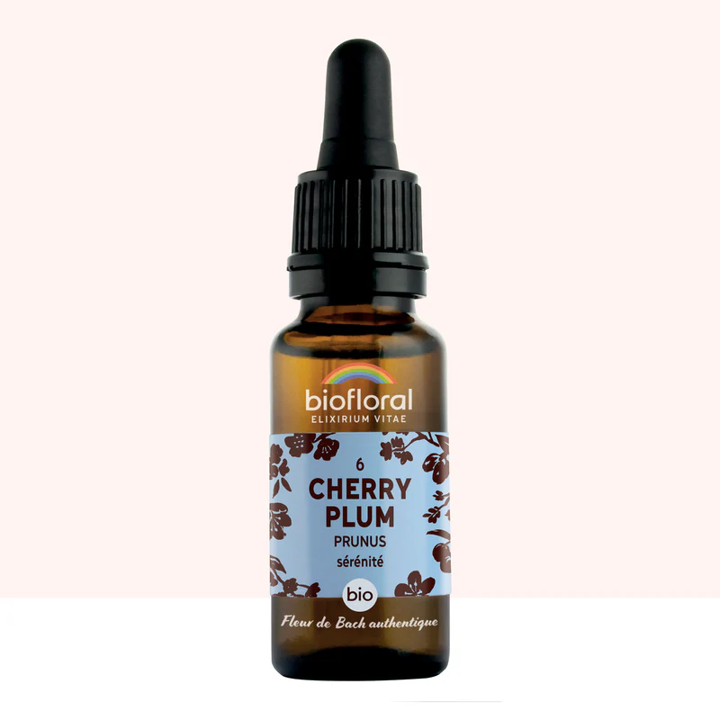 06 Cherry Plum, Prunus - Bio