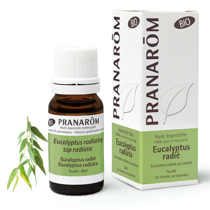 Huile Essentielle d'Eucalyptus radié - Bio - Pranarom 