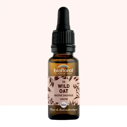 [BF036] 36 Wild Oat, Avoine Sauvage - Bio