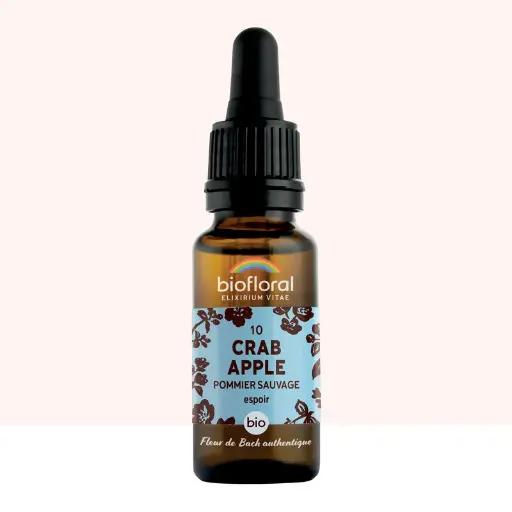 [BF010] 10 Crab Apple, Pommier Sauvage - Bio