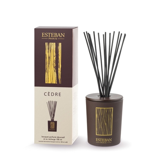 [CED-106] Bouquet parfumé décoratif cèdre - Esteban