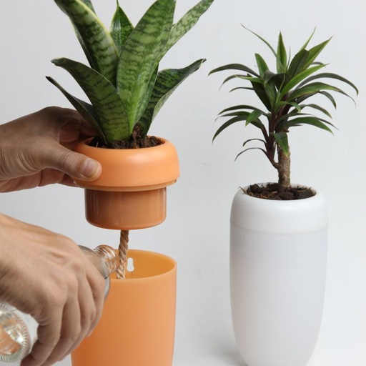 Carepot - Qualy design 