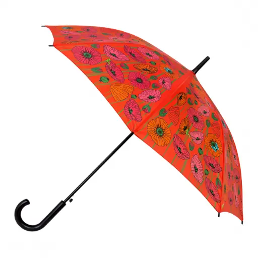 Parapluie - Rainbeau - Pylones